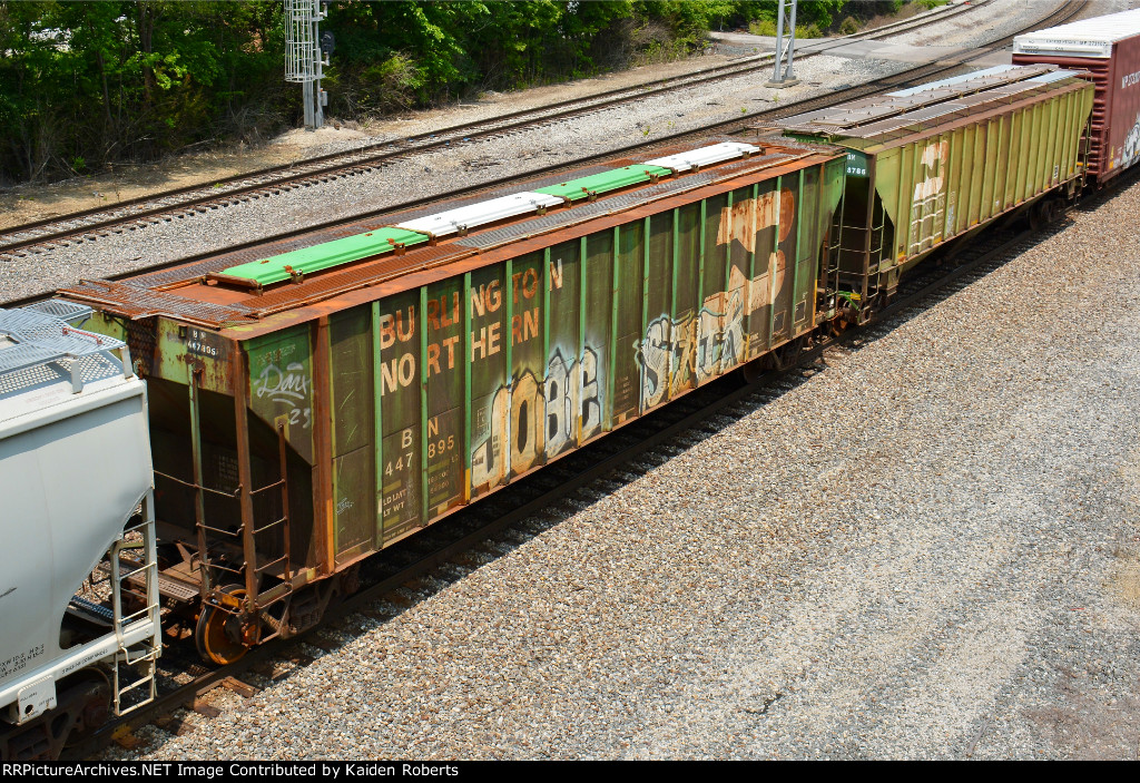 BN 447895, BN 468786